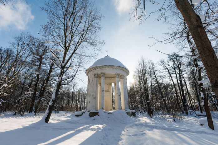 Зима в усадьбе Быково в Раменском