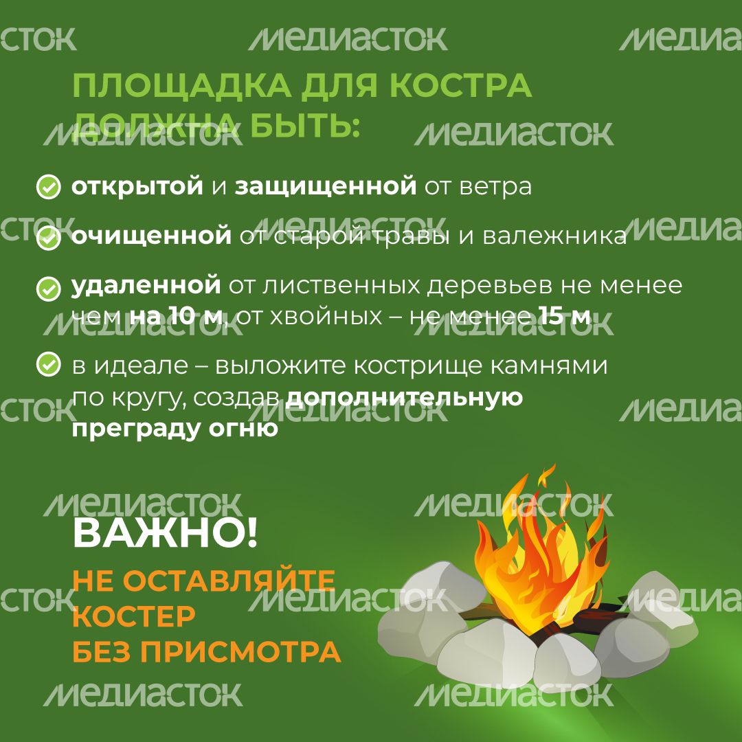 комлесхоз_костер_кв_3.jpg