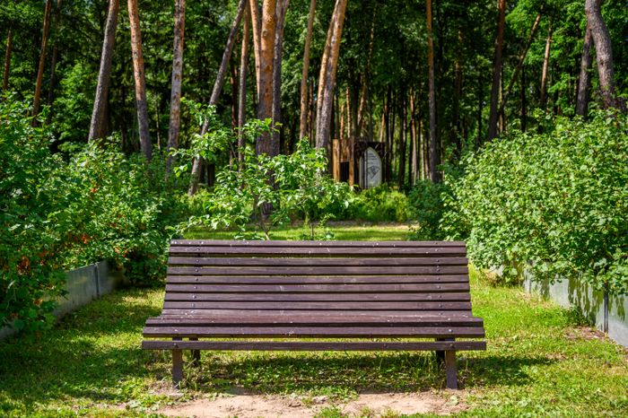 Дендрарий "Живая книга" в Ногинске