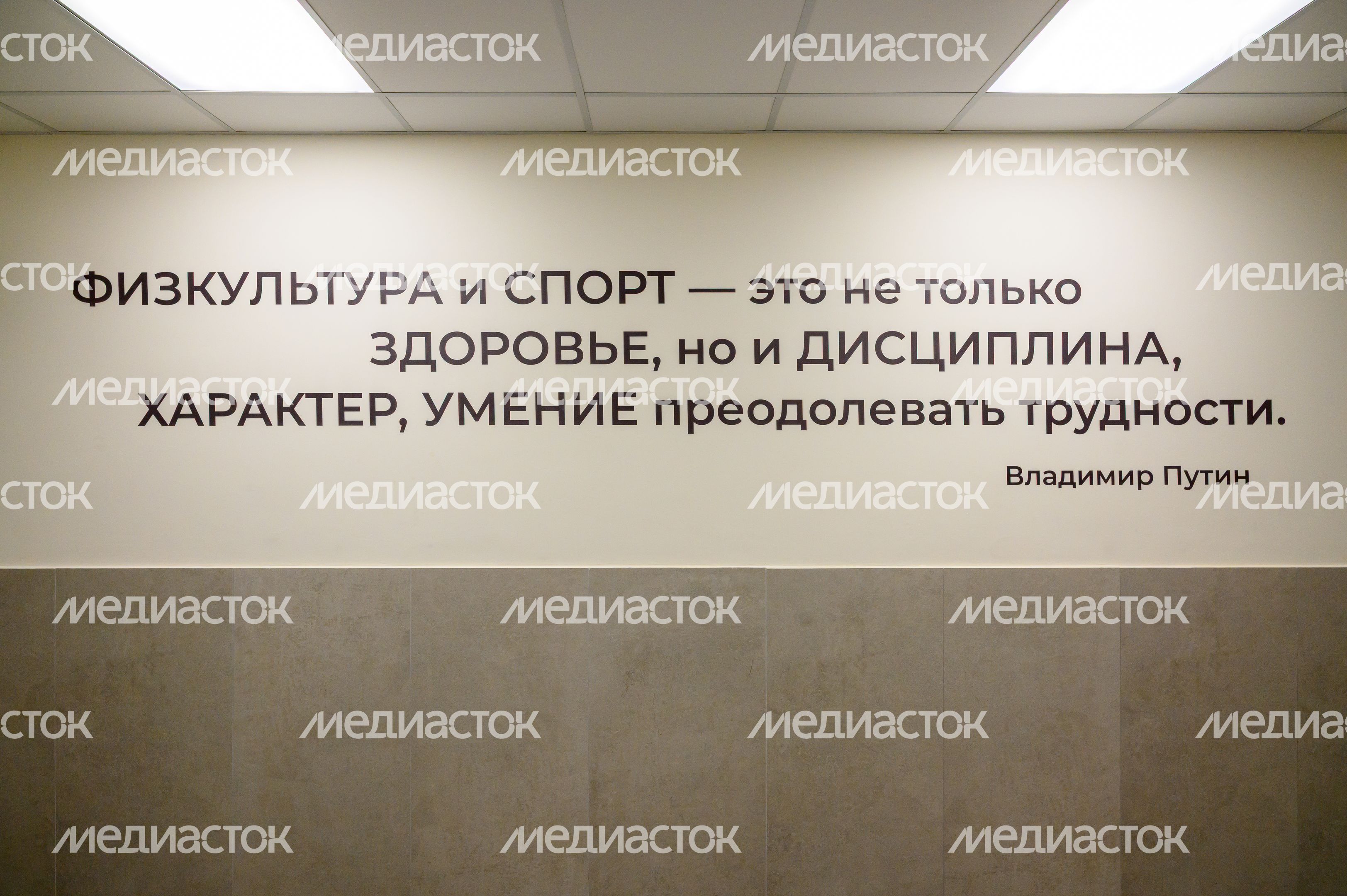 Цитата В. Путина на стене Центра образования №29 после капитального ремонта в поселке Зеленый Богородского округа Цитата В. Путина на стене Центра образования №29 после капитального ремонта в поселке Зеленый Богородского округа