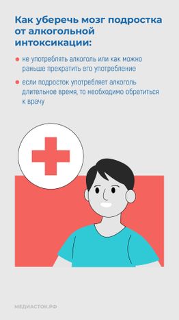 Алкоголь и развитие мозга вертикаль 10