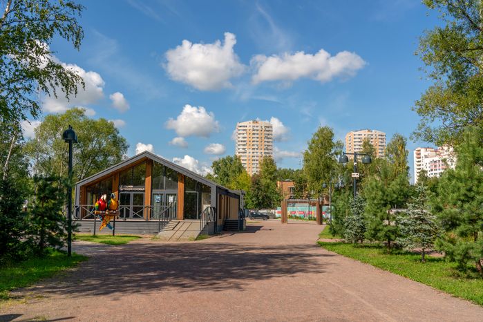 Лобненский лесопарк летом 2026 года
