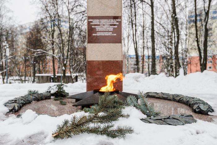 Видное. Аллея Славы