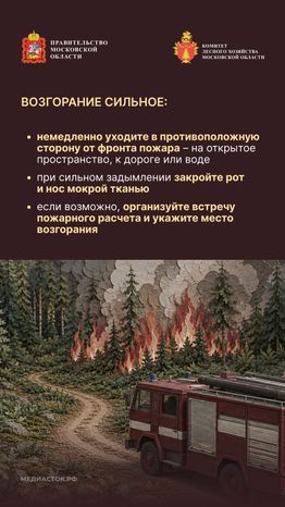 Живете рядом с лесом вертикаль 10