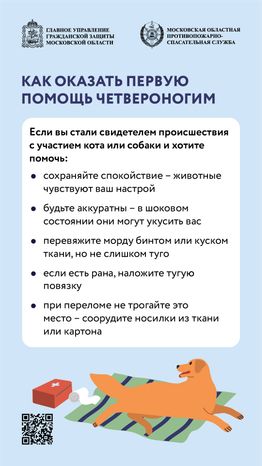 помощь усатым - вертикаль - 07
