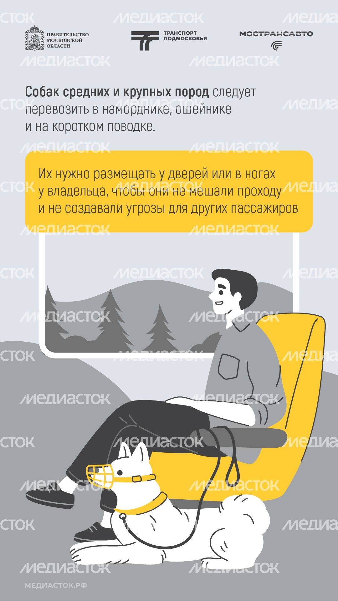 Правила перевозки животных вертикаль 05