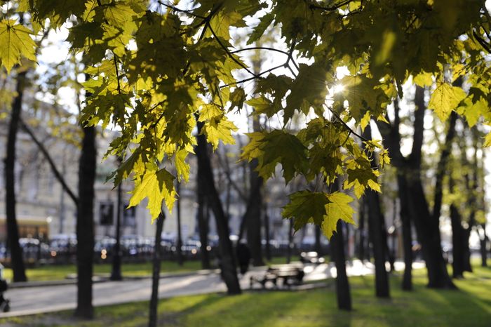 Страстной бульвар в Москве
