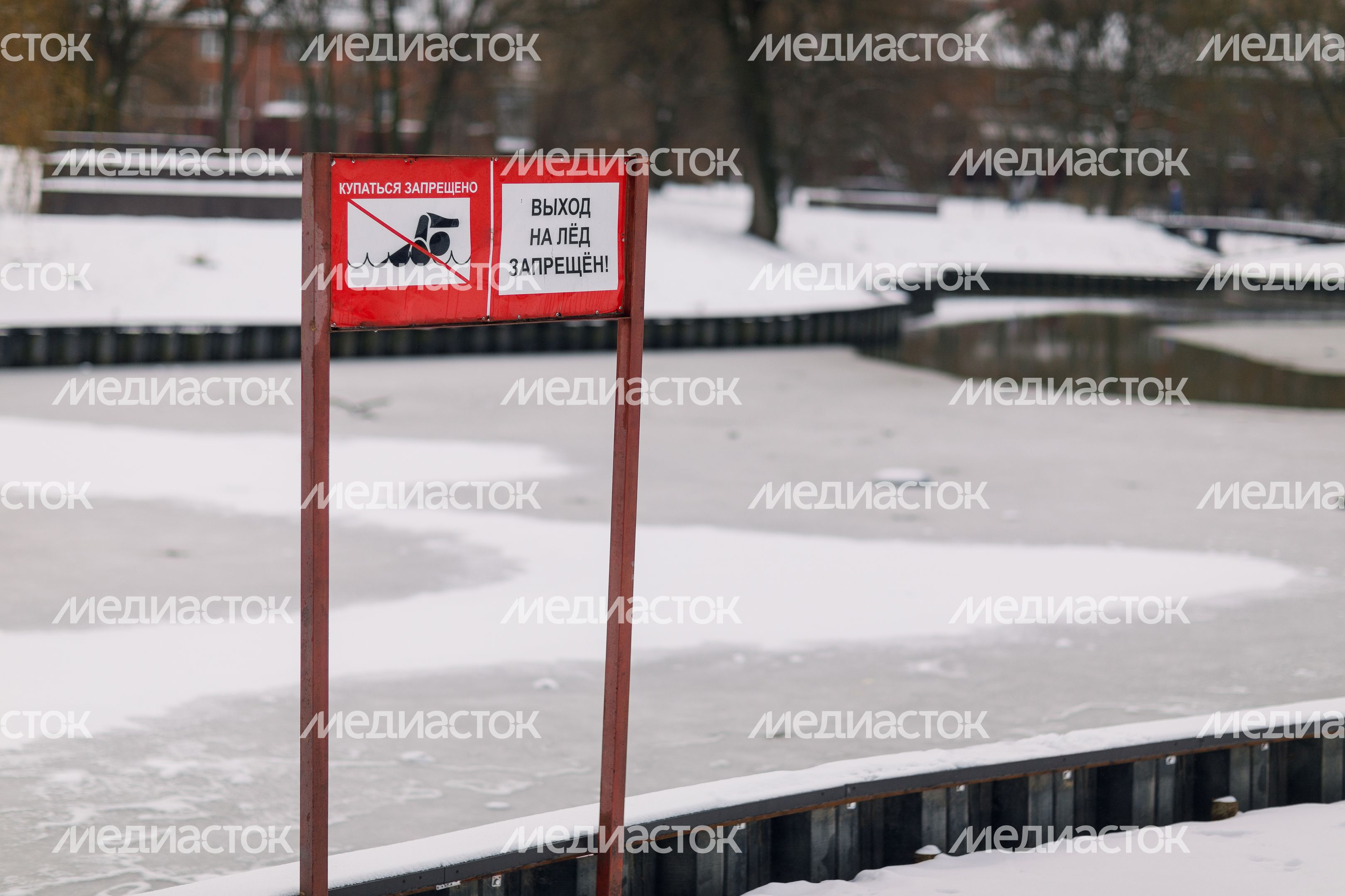 Городской парк культуры и отдыха в Долгопрудном Городской парк культуры и отдыха в Долгопрудном