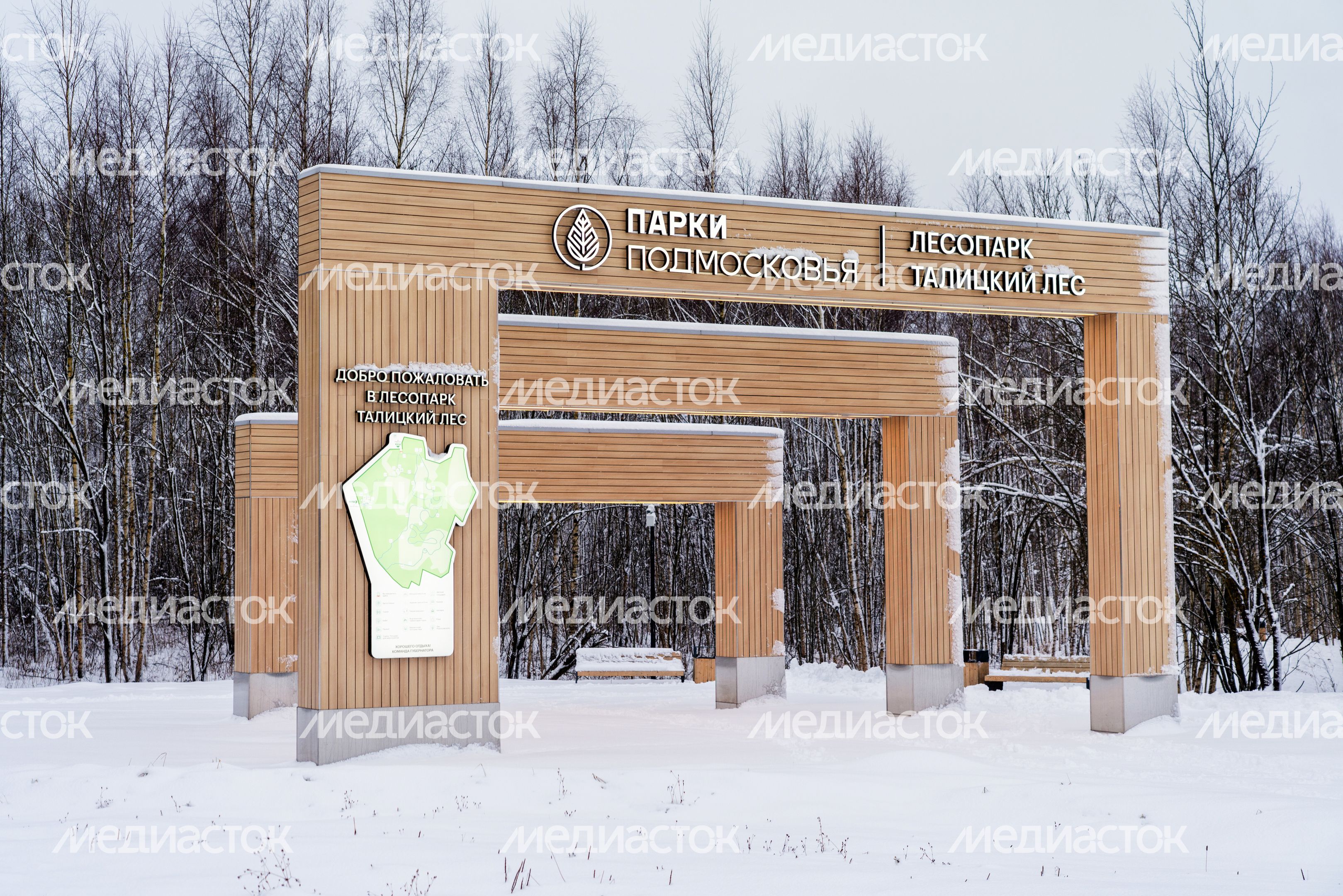 Лесопарк «Талицкий лес» зимой в Клину Лесопарк «Талицкий лес» зимой в Клину