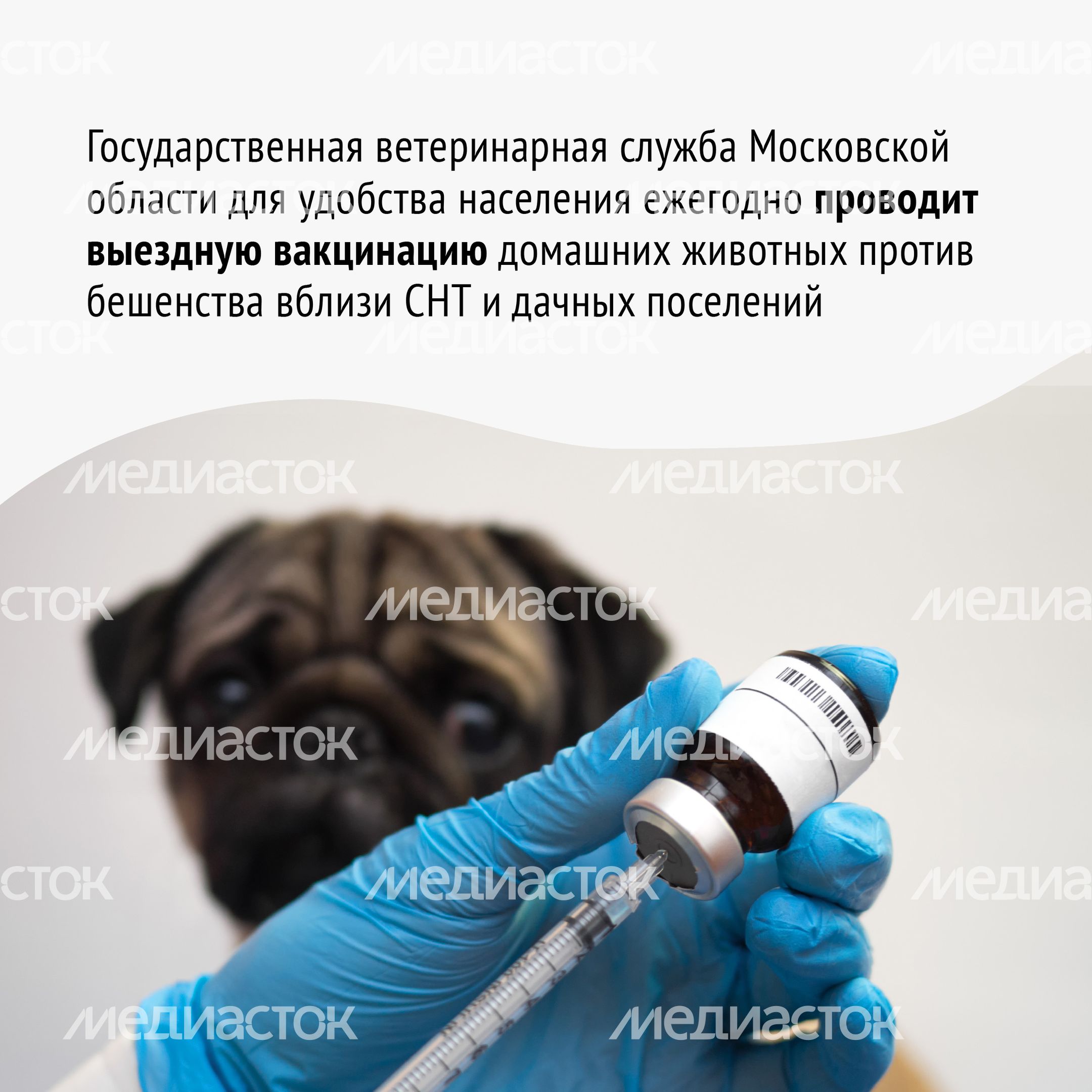 Вакцинация