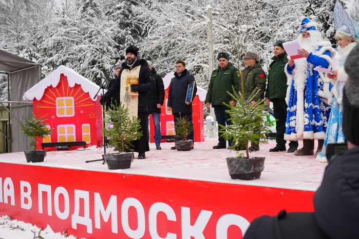 В Можайском городском округе спилили главную новогоднюю ель страны