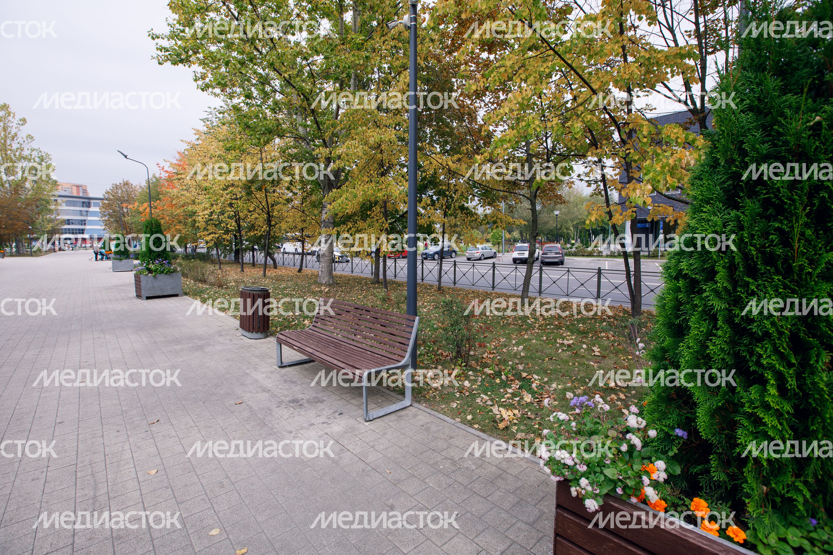Реутов. Улица Октября Реутов. Улица Октября