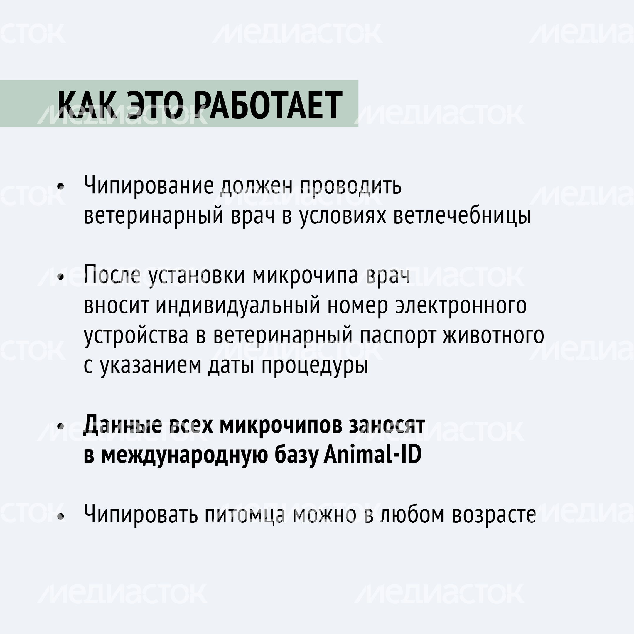 Чипирование-18.jpg