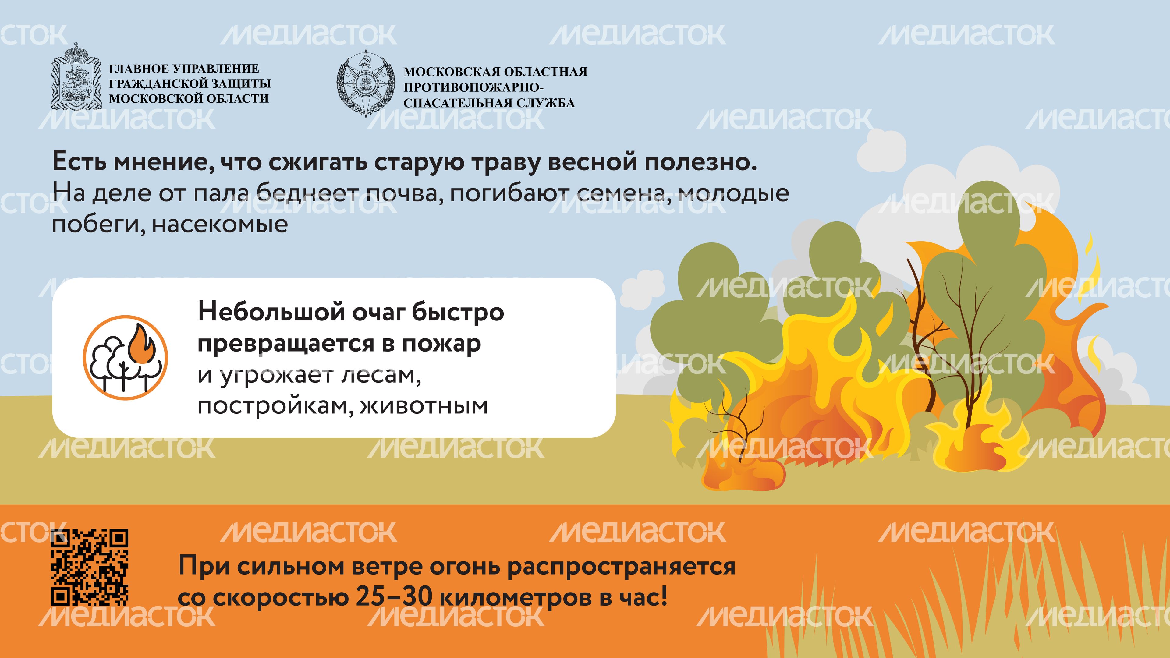 Пал травы-2024_Горизонталь-02