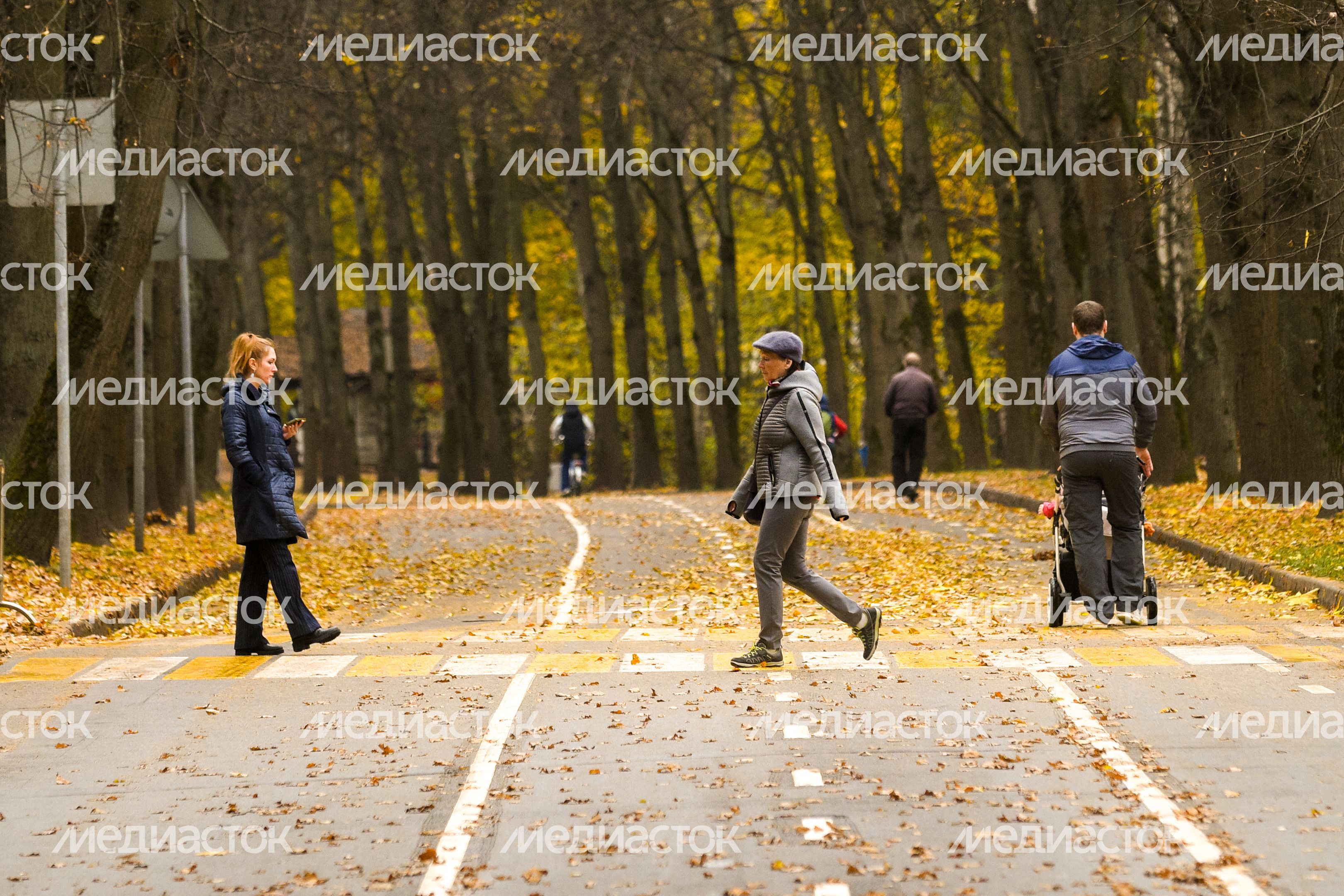 Золотая осень в парке «Сокольники»