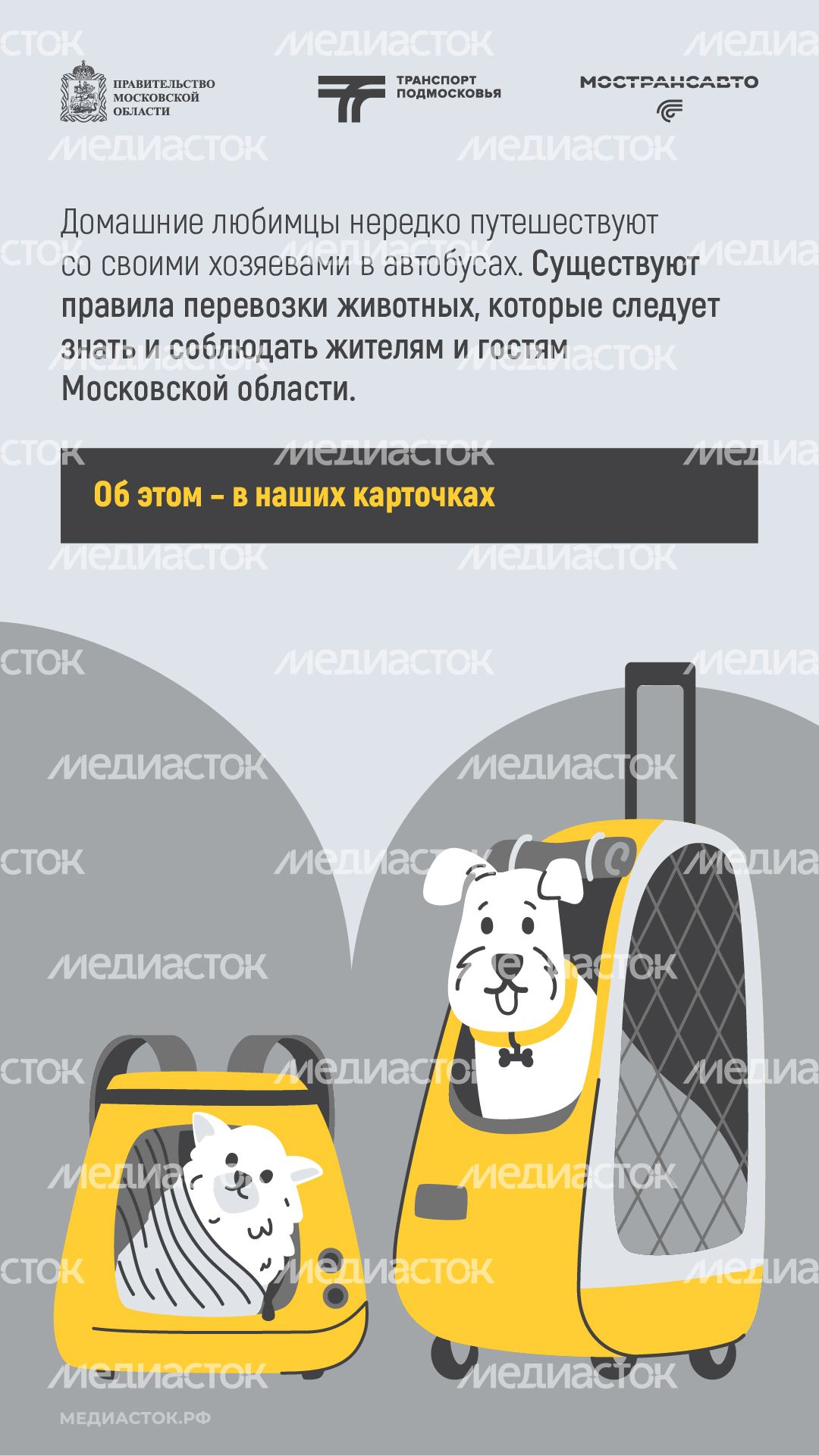 Правила перевозки животных вертикаль 02