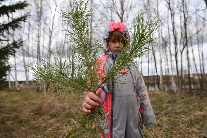 Поселение родовых поместий «Миродолье»