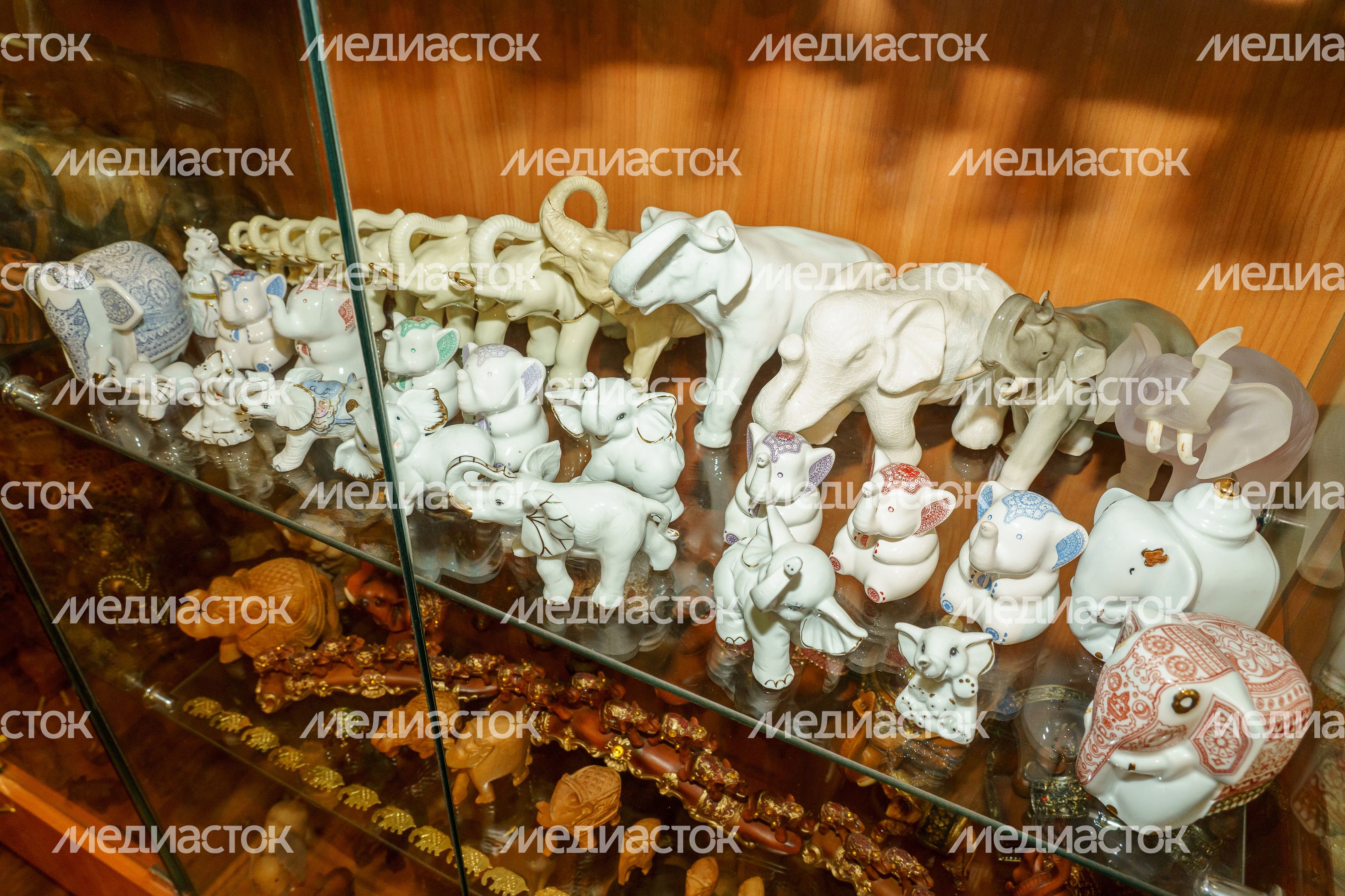Жуковский. Пантелеимоновский Благовест. Музей слонов Жуковский. Пантелеимоновский Благовест. Музей слонов