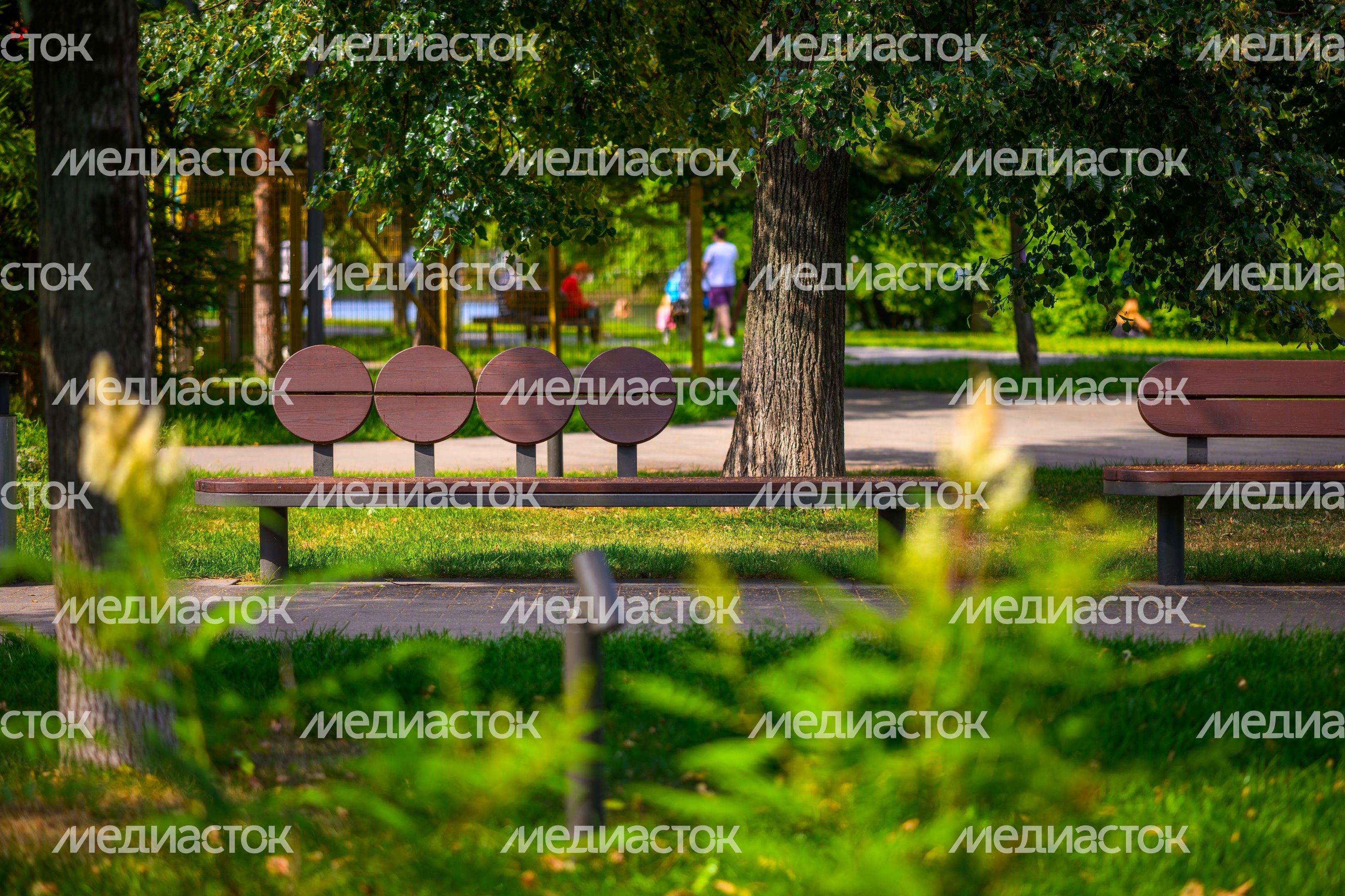 Лето в Наташинском парке Люберец