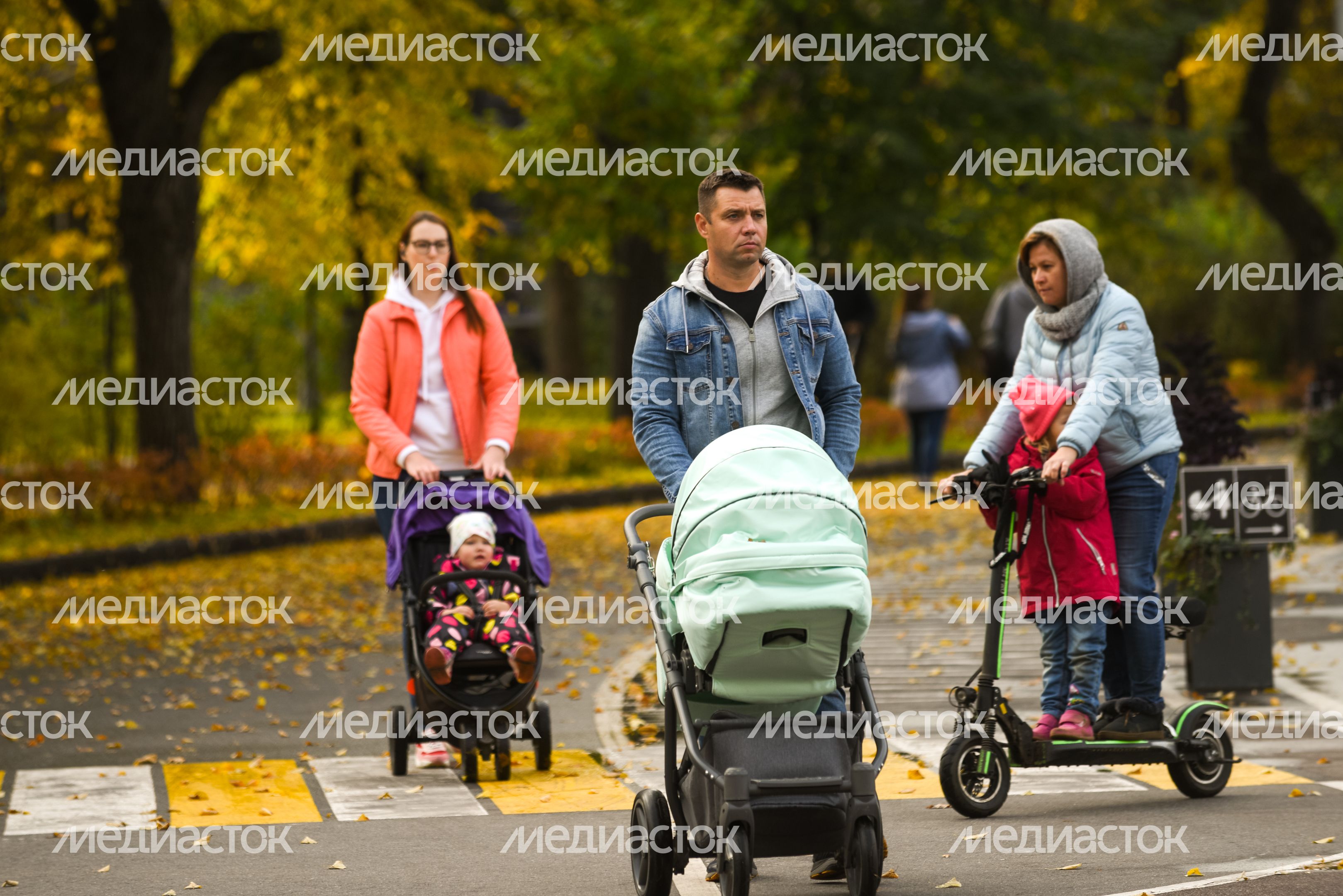 Золотая осень в парке «Сокольники»