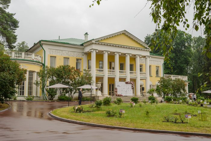Пальмы и Розы Зинаиды Морозовой