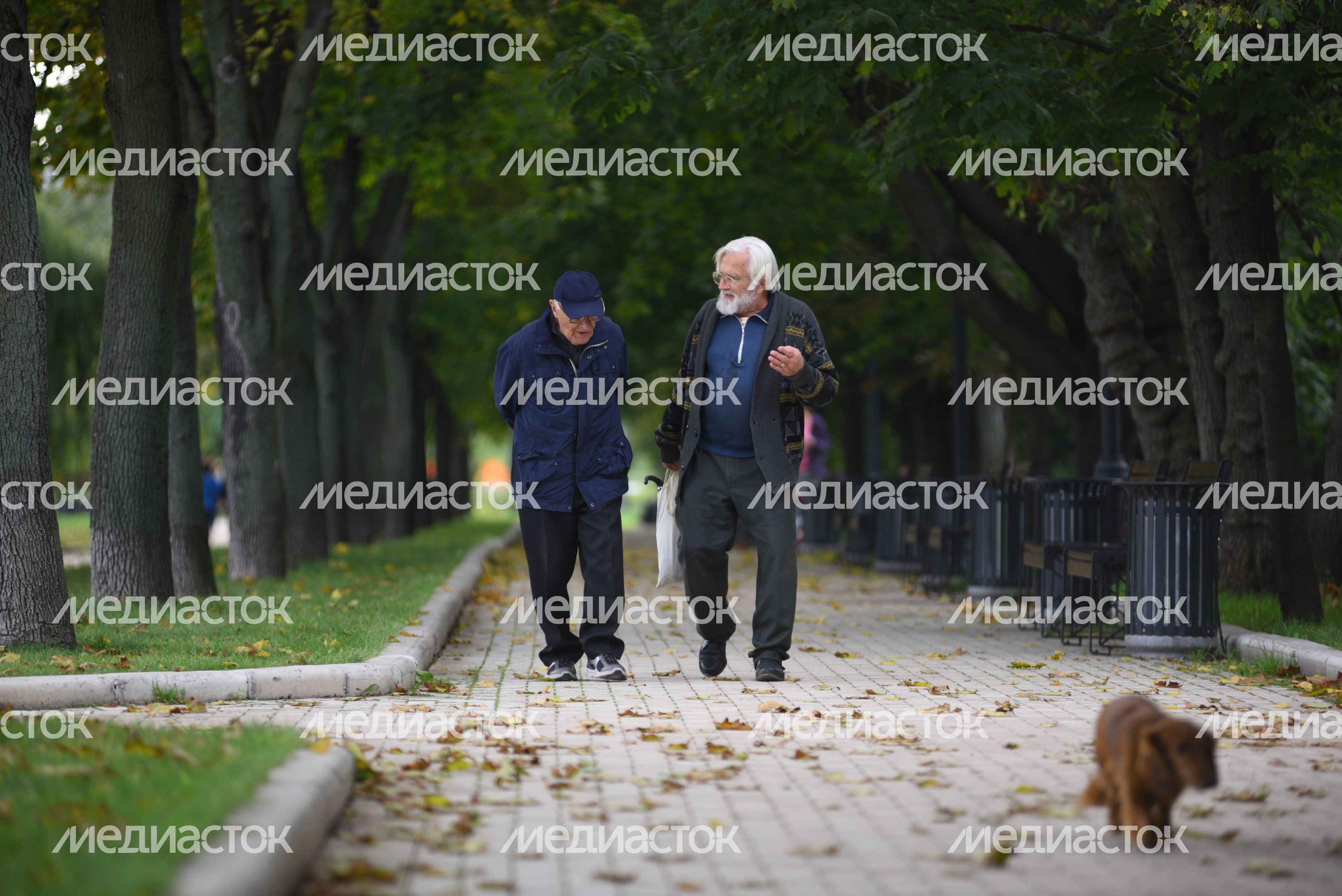 Парк Новодевичьи пруды в Москве