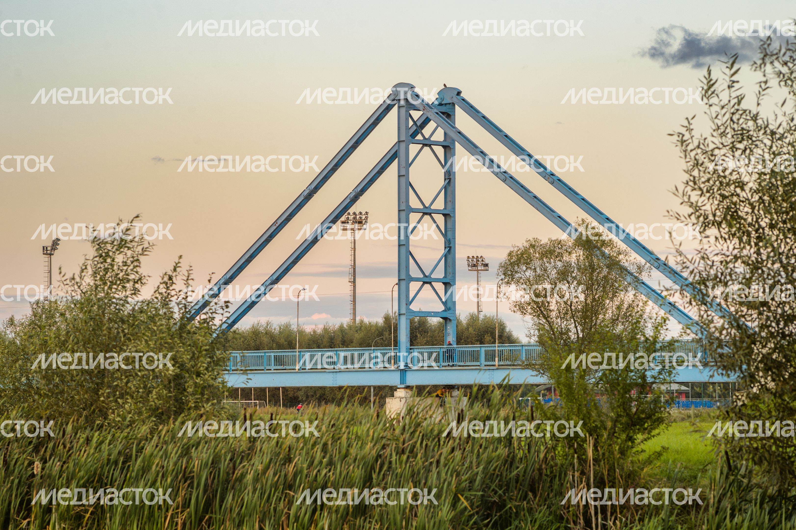 Бронницы. "Крымский мост" Бронницы. "Крымский мост"