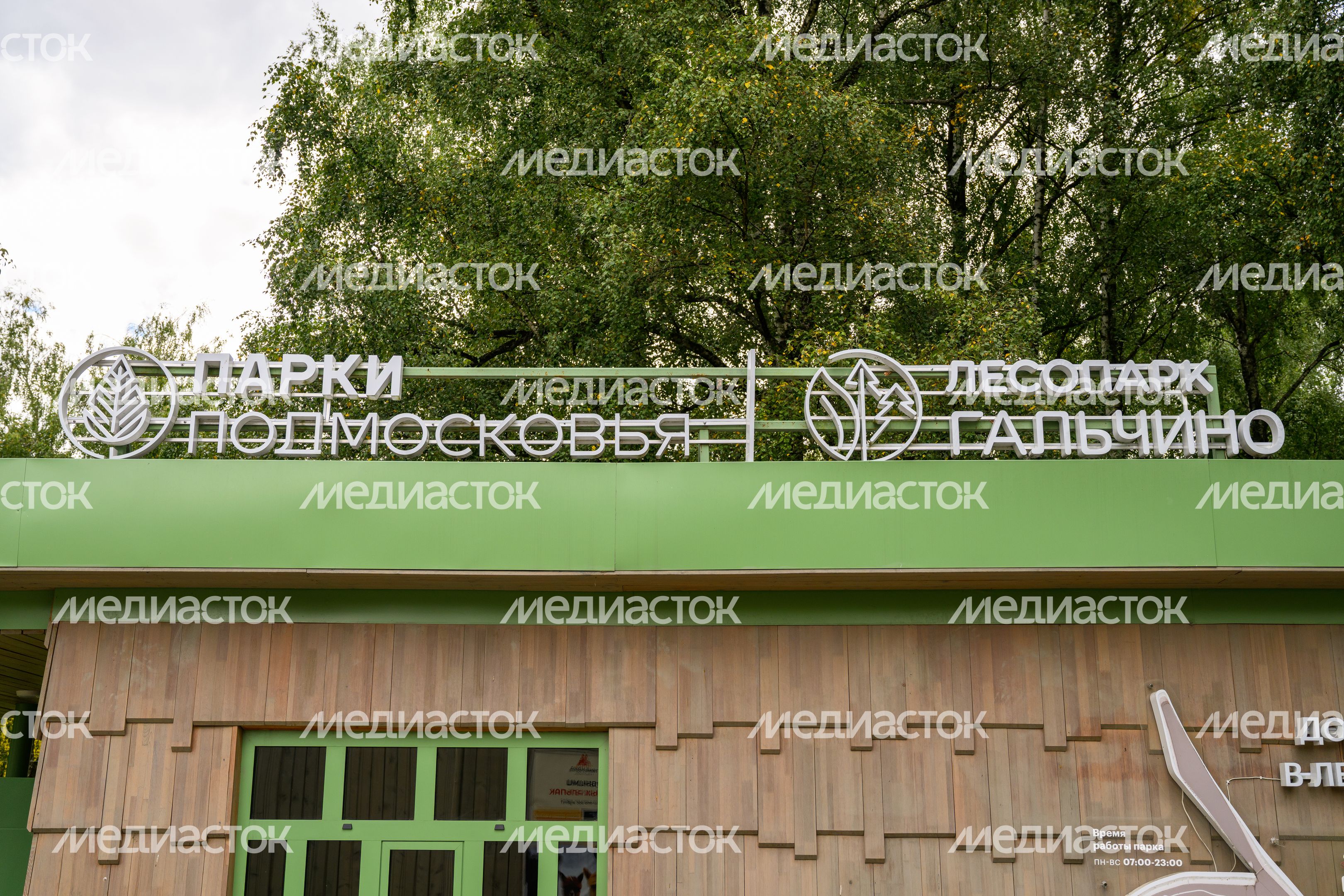 Лето в лесопарке «Гальчино» в Домодедово Лето в лесопарке «Гальчино» в Домодедово