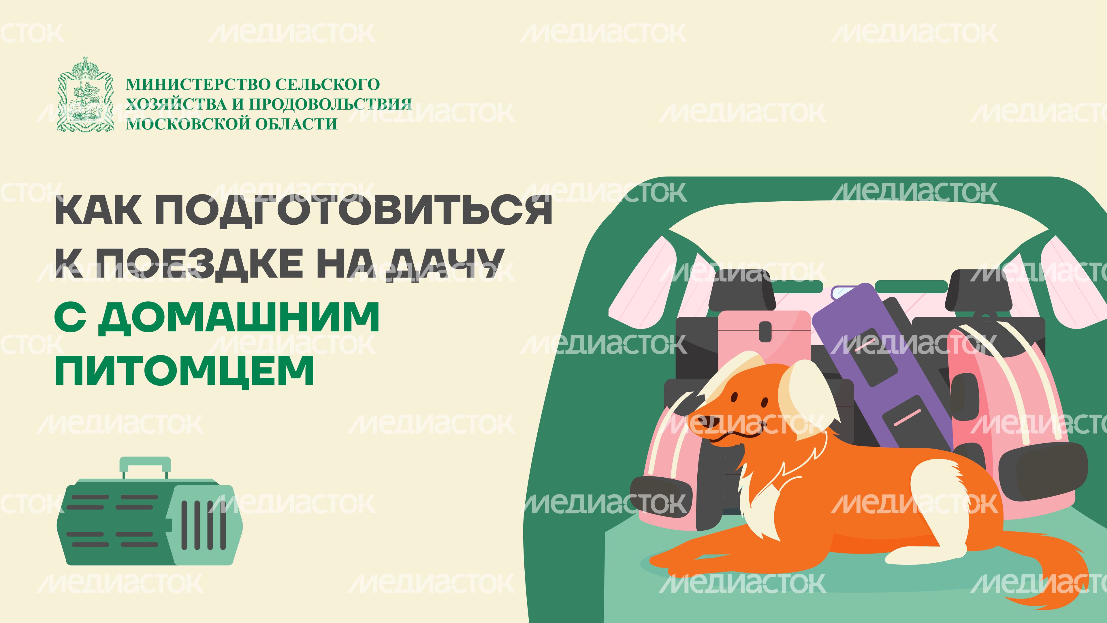 животные на даче горизонталь (1)