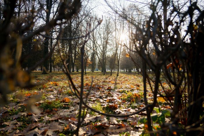 Мемориальный парк. г. Коломна