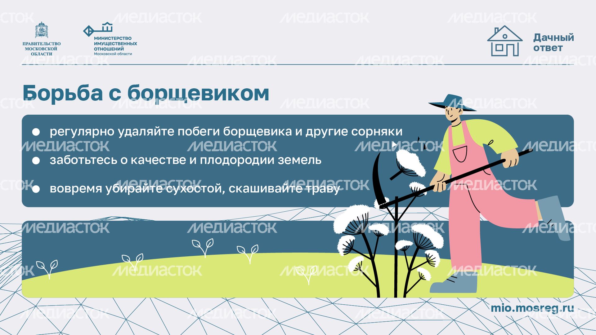 Дачный сезон штрафы-горизонталь-05
