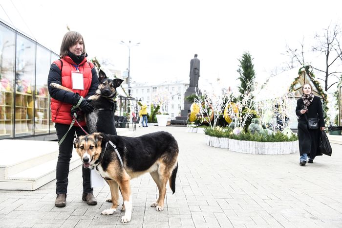 Фестиваль Пасхальный Дар, Московские сезоны стартовал в Москве