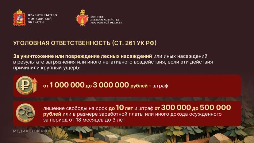 Санитарная безопасность в лесах горизонталь 05