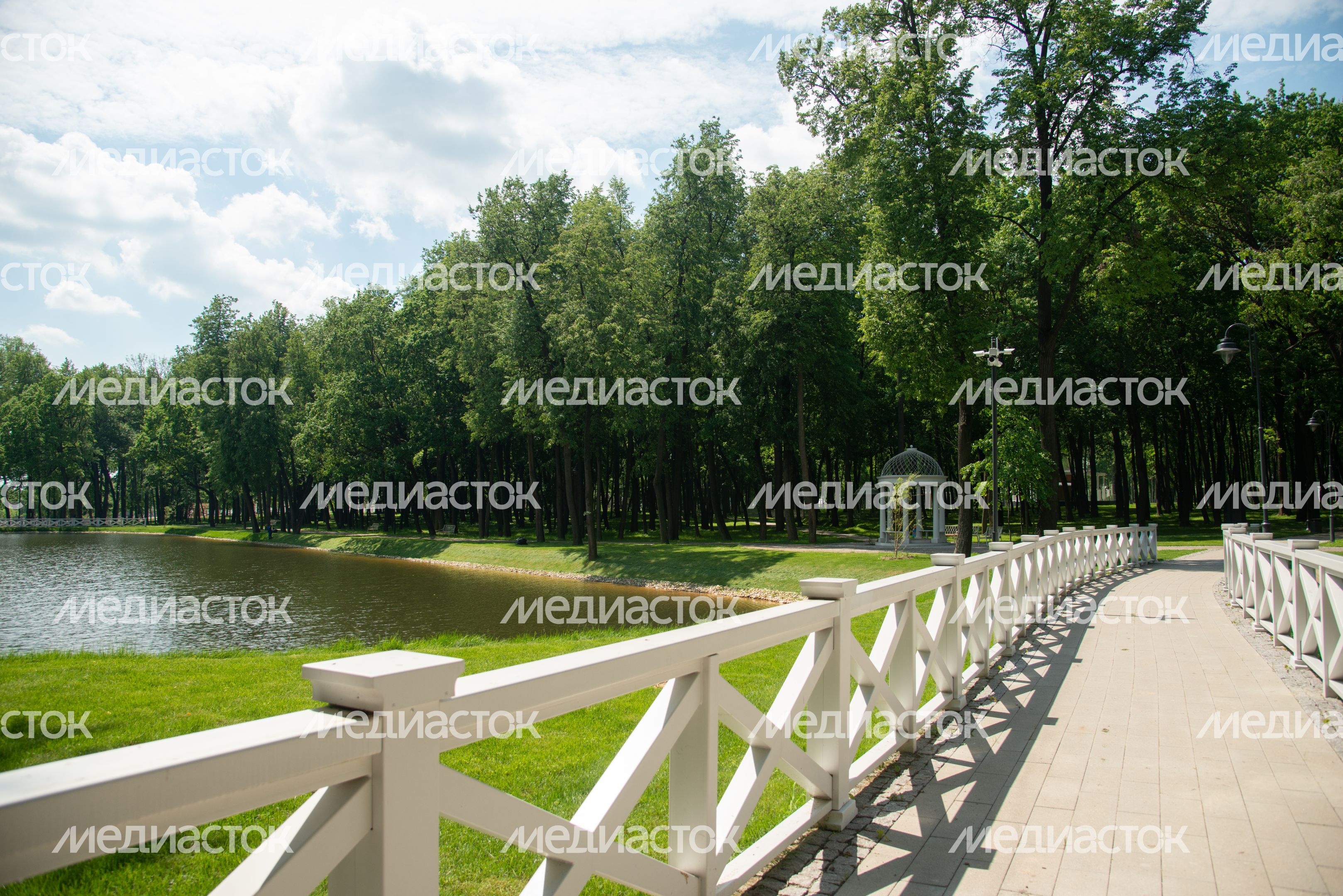 Парк Кривякино