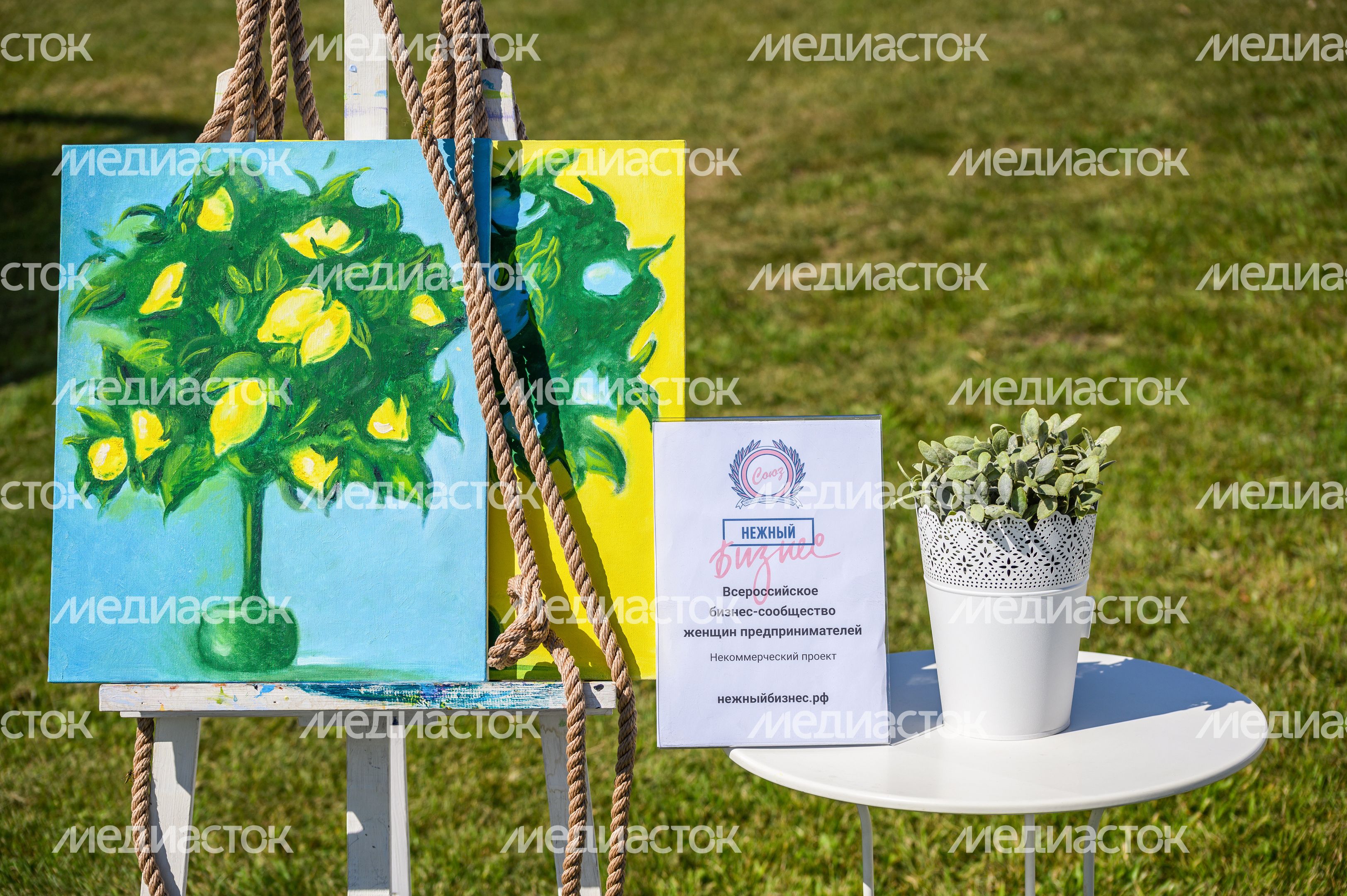 Фестиваль «Нежный Fest 2024» в Бронницах Фестиваль «Нежный Fest 2024» в Бронницах