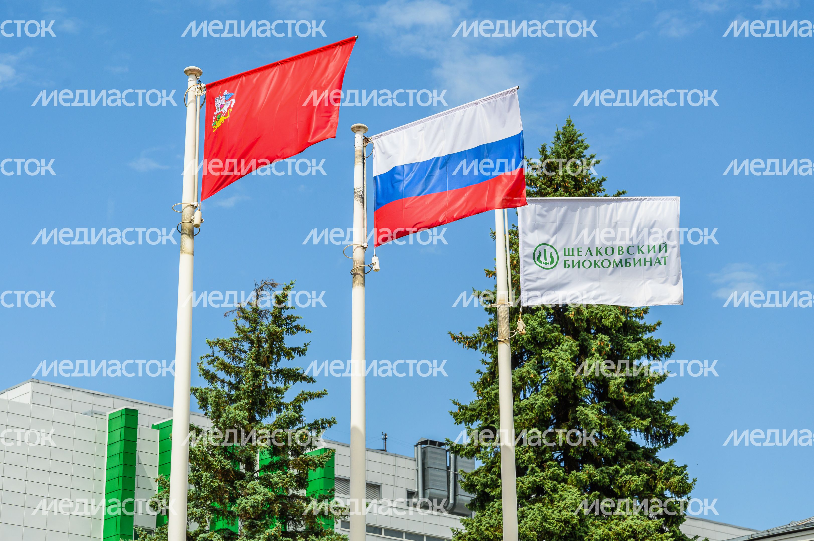 Щелковский биокомбинат в Лосино-Петровском округе Щелковский биокомбинат в Лосино-Петровском округе