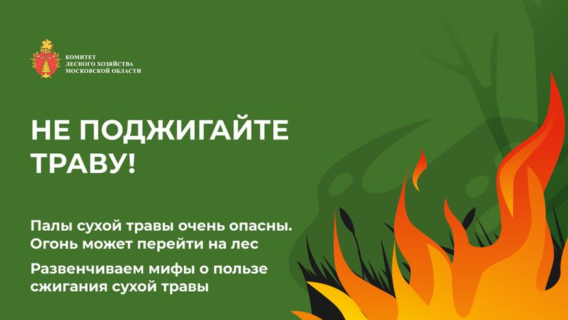 пал_гор_1.jpg