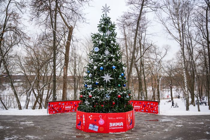 Елка в Раменском городском парке в новогодние праздники