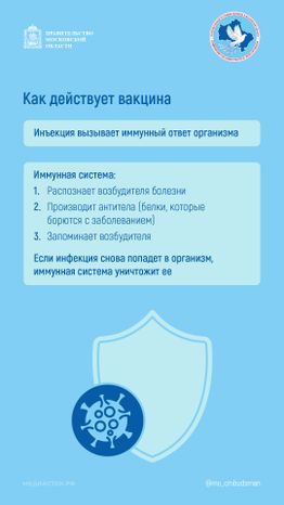 Вакцинация вертикаль 04