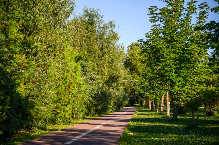 Городской пляж Солнечногорска на берегу озера Сенеж