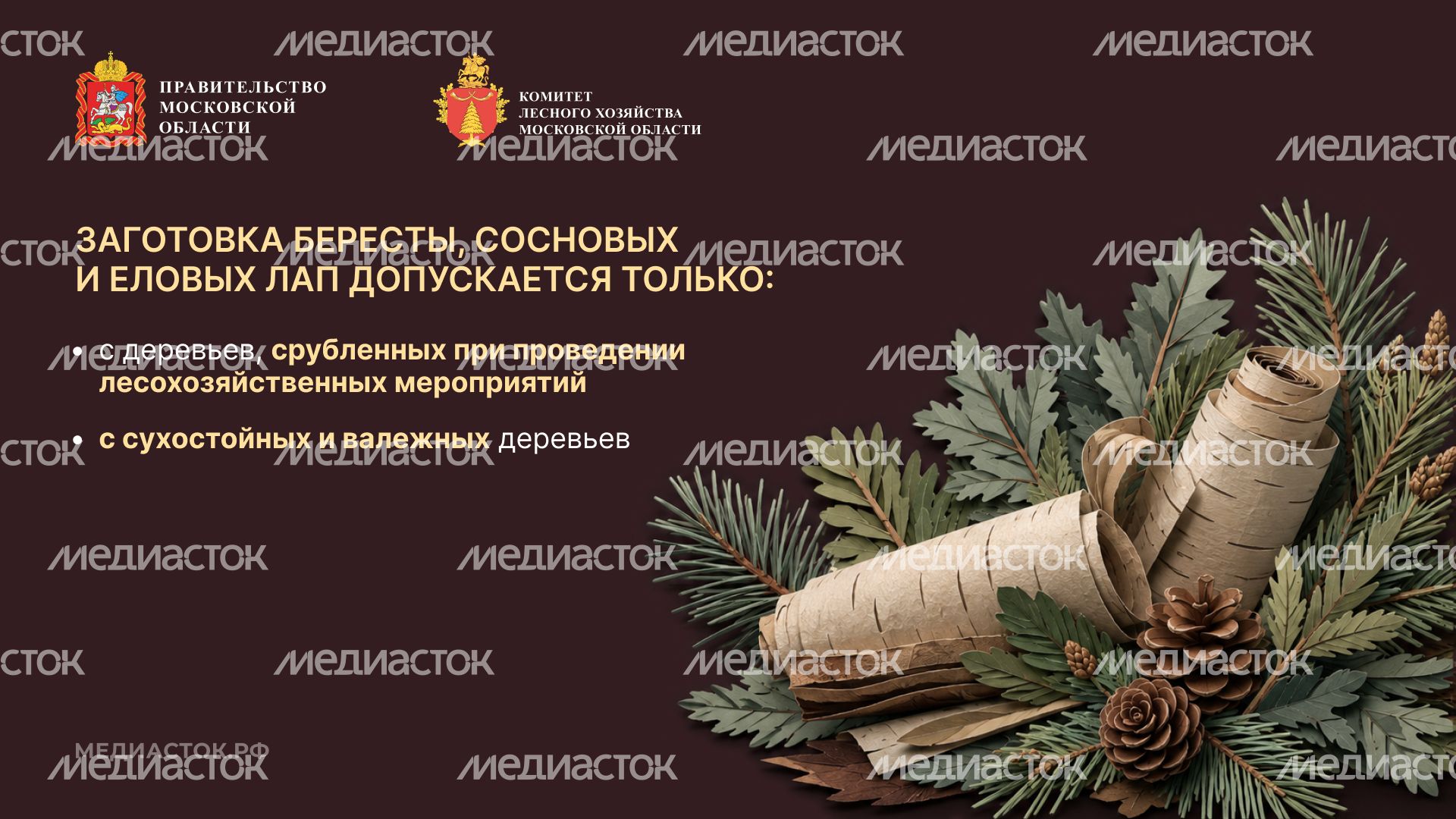 Недревесные ресурсы для собственных нужд Горизонталь 06