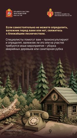 Валежник для собственных нужд вертикаль 09