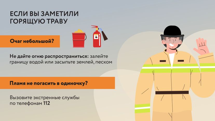 Пал травы