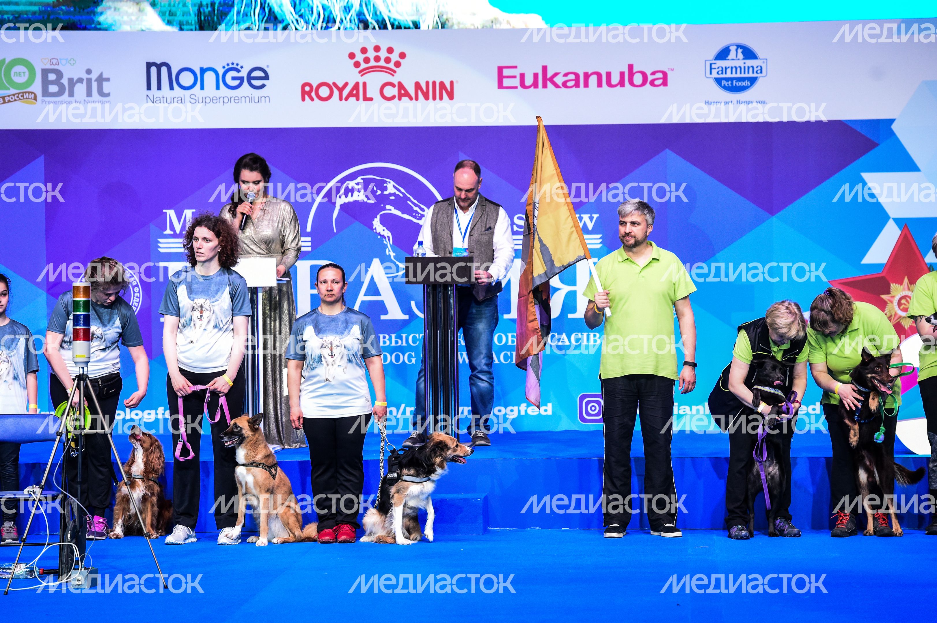 Выставка собак Евразия‑2018 прошла в Подмосковье