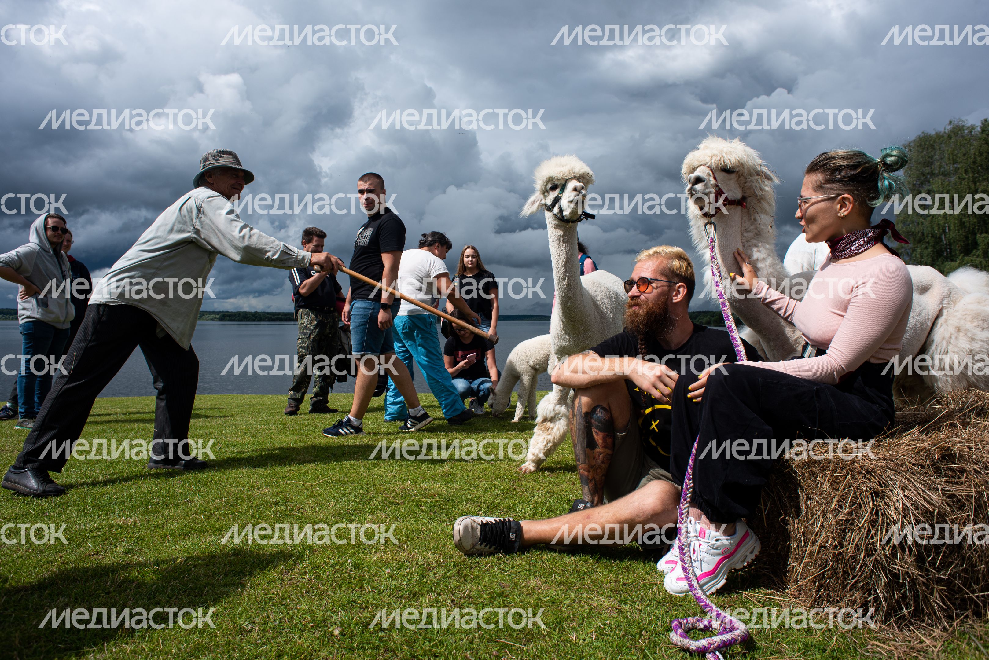 Гастрономический фестиваль Alpaca Wellbeing Fest