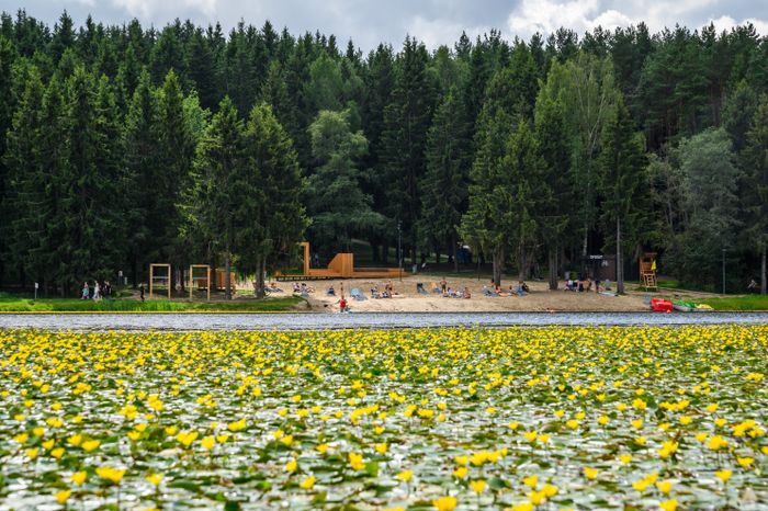 Лесопарк «Загорское море» открыли летом в Сергиевом Посаде