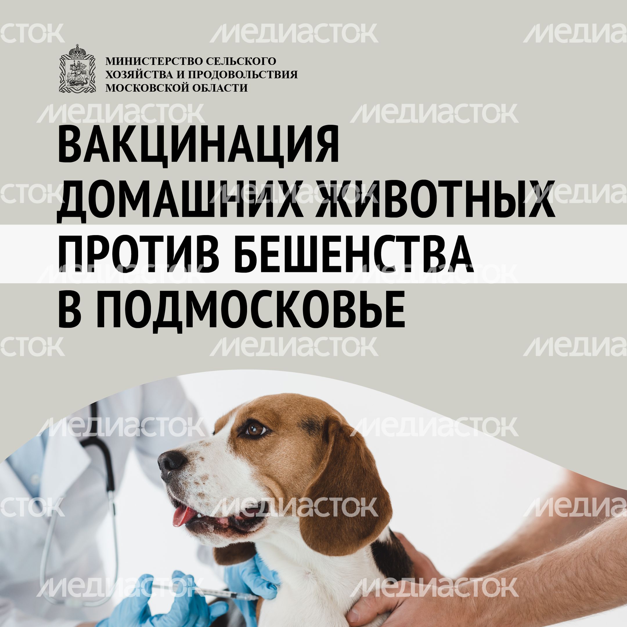Вакцинация-15.jpg