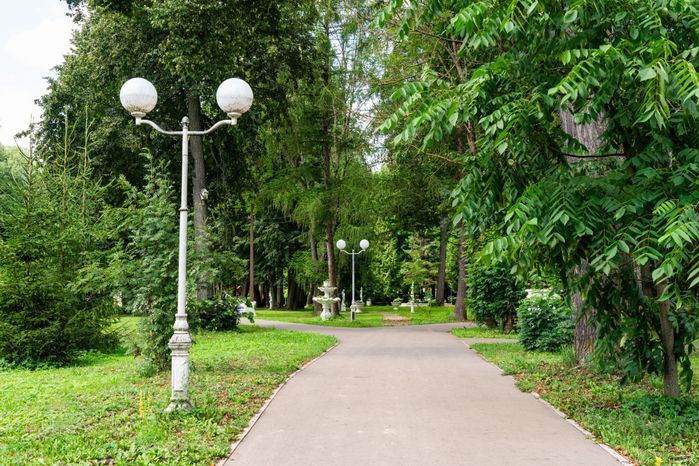Летняя прогулка по Лотошинскому парку культуры и отдыха