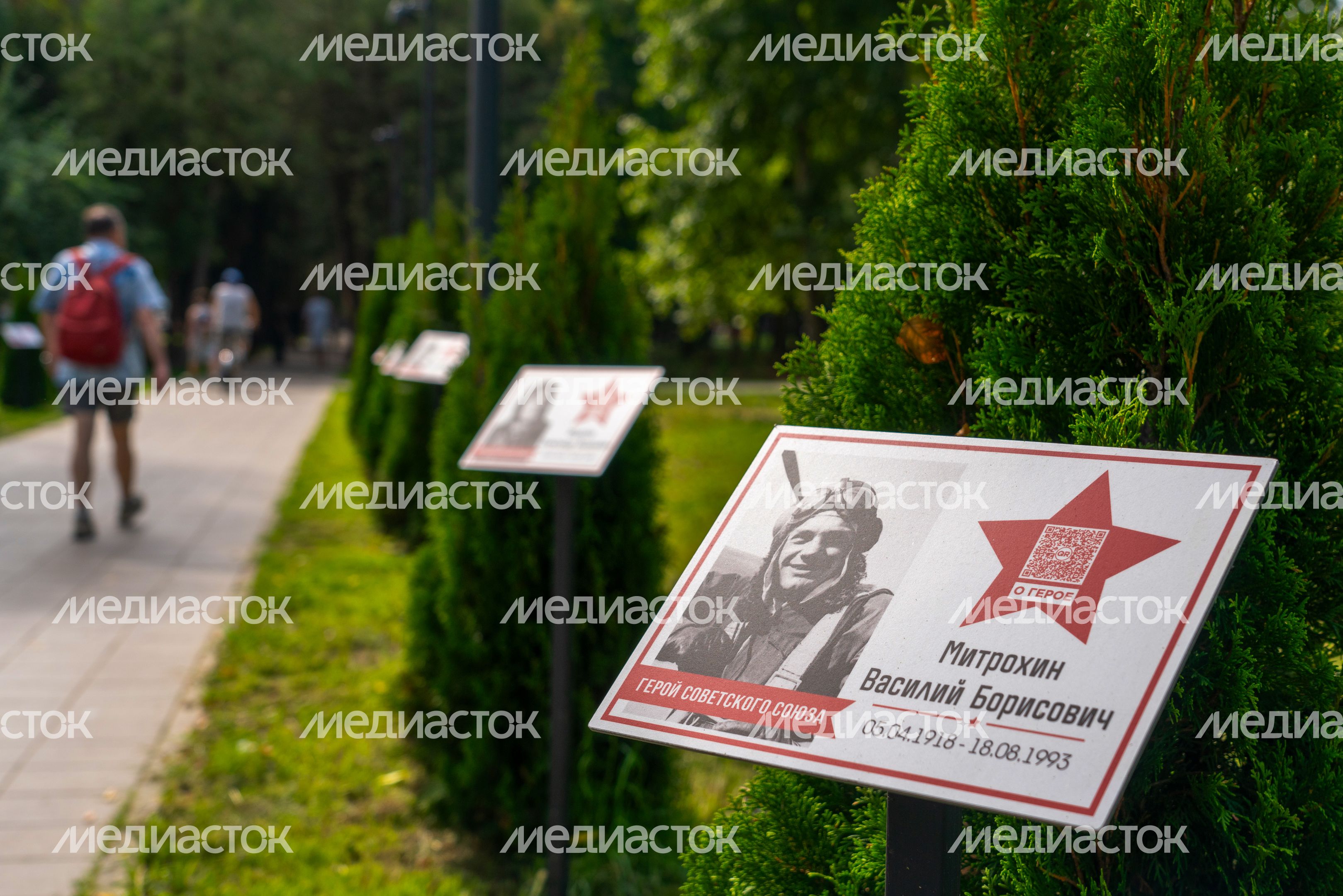 Парк "Питомник" в Серпухове открылся после реконструкции