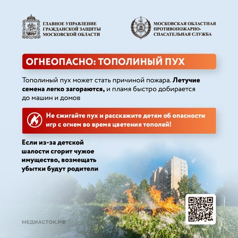 Огнеопасно тополиный пух квадрат 01